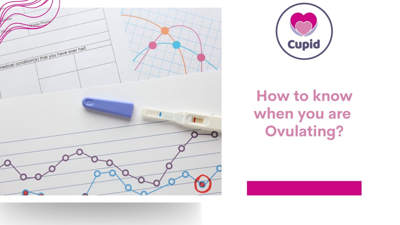 How can you know if your ovulating? CUPID Home Fertility Kit