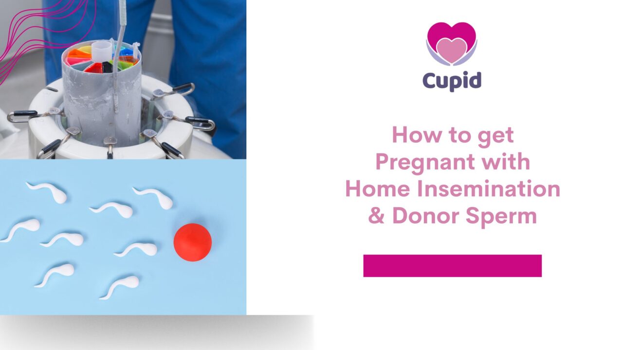 How To Get Pregnant With At Home Insemination Using A Sperm Donor Cupid Home Fertility Kit 1018