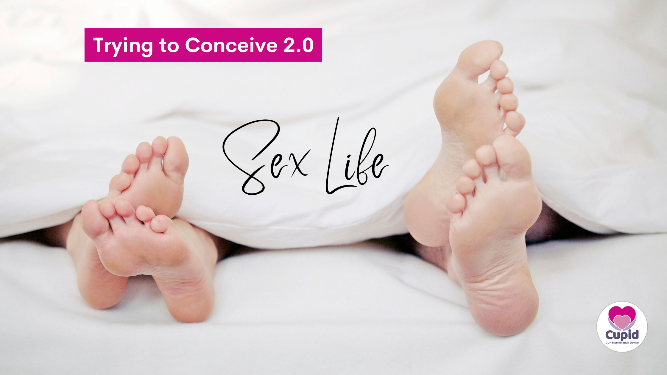 Trying to Conceive Sex Life 2.0